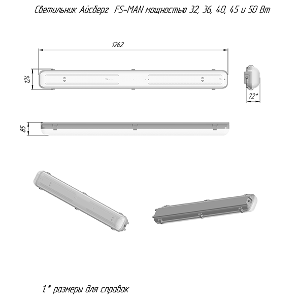   FS-MAN 1
