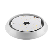    FS-MAN-S-018-65-48-740-OPL 18 IP65 4000  305*84